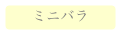 ミニバラ