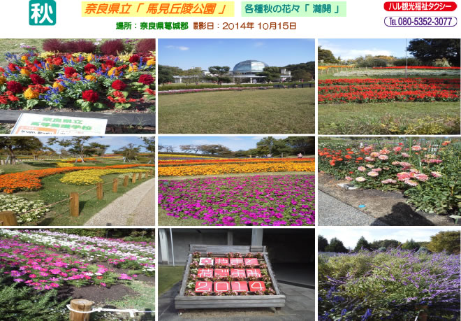 馬見丘陵公園