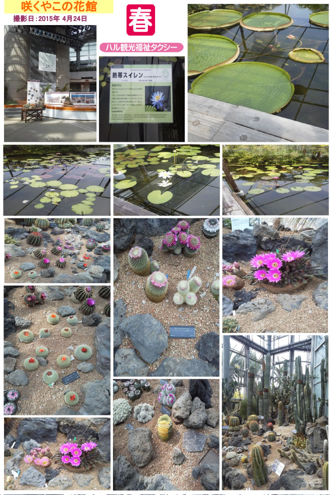 咲くやこの花館