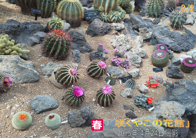 咲くやこの花館