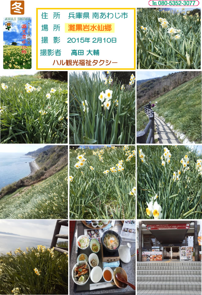 灘黒岩水仙郷