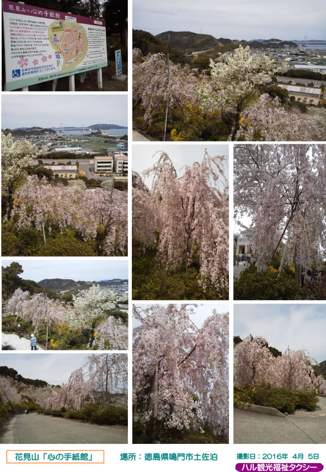 花見山 心の手紙館