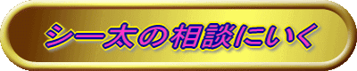 V[̑kɂ