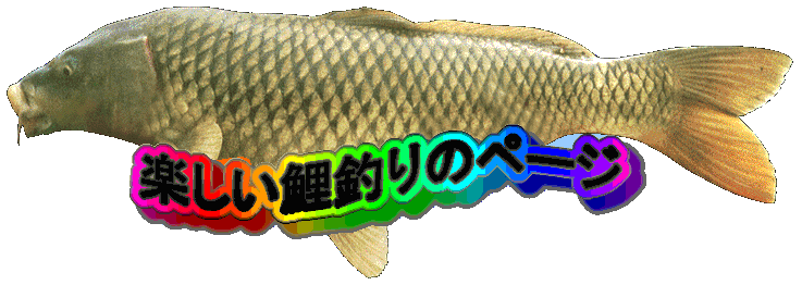 関西大型淡水魚の会 鯉をはじめソウギョ、レンギョ、アオウオ等、一メートルを超る大型淡水魚を友としてまた好敵手として認め、彼らとの知恵比べを楽しんでいるクラブのHP