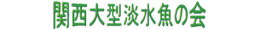 �֐���^�W�����̉�