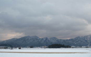 今年最後の雪