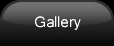 web gallery