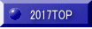 2017TOP