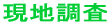 Ɩ