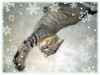 �̂т̂т��܂ł�