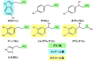 イラスト4