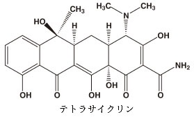 イラスト5