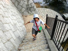 夙川の階段