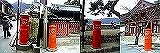 安芸の宮島