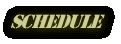 スケジュール