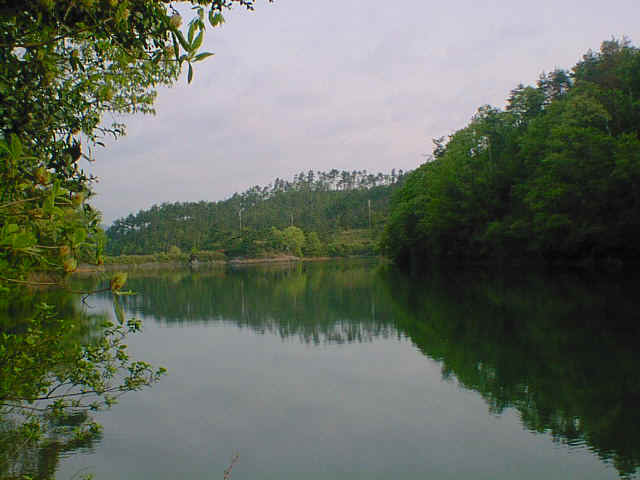 9905040012.JPG (58818 oCg)