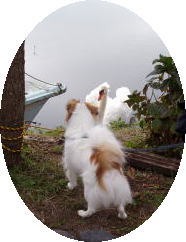 AqƂȂ悵