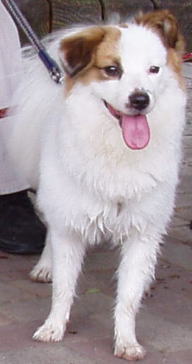 zƂ