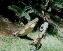 �N���R�_�C��