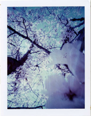 ؐsz[@