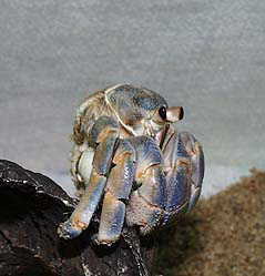 samisiimikan.jpg (9087 oCg)