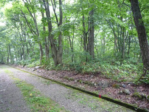 別荘地 白馬みそら野 南東の境界からの全景写真