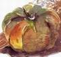 野菜