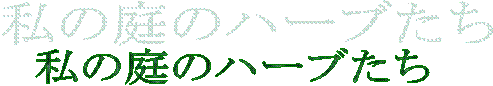 ̒̃n[u