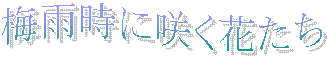 炭ԂU