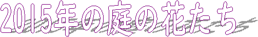 2004N̒̉Ԃ