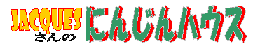 jacqueŝɂ񂶂nEX