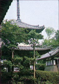 吉田寺