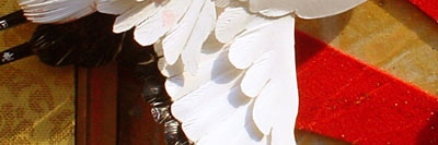 unkaku 