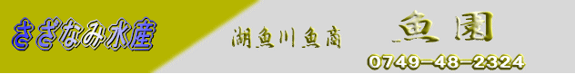 ΋싛 