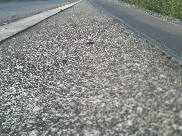 0001.jpg(82111 byte)