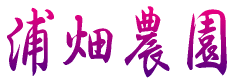 ͂_ 