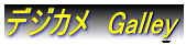�f�W�J���@Galley