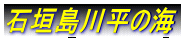 �Ί_���약�̊C