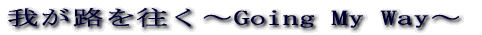 �V���j�b�g������ 