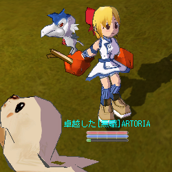 �摜