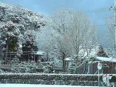 新宮神社　冬景色