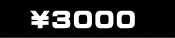\3100