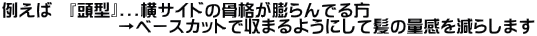 ̈׎I[i[qlllɁ@ ӔCĎ{pĂ炢܂