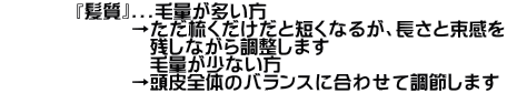 ̈׎I[i[qlllɁ@ ӔCĎ{pĂ炢܂
