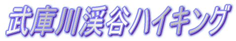 �W�H���̗� 
