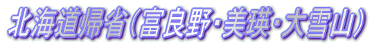 �W�H���̗� 