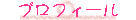 �v���t�B�[��
