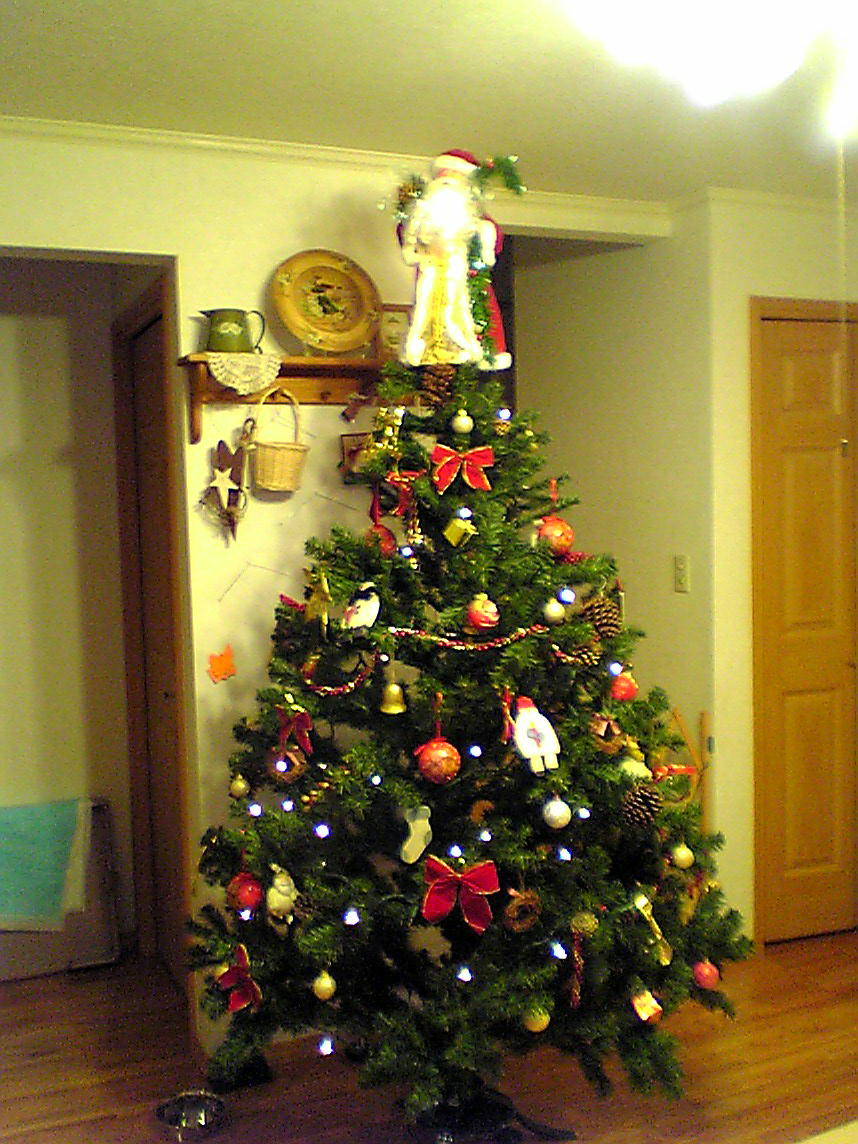 ���Ƃ��̂������̃N���X�}�X�c���[�ł�
