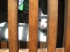 奈良町ニャンコ庵