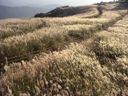 生石高原